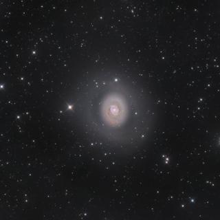 M94: Halo de espacio profundo por Nicolas Outters