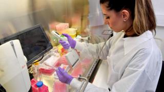 A scientist works in a bio-safety level 2 laboratory at the Rega Institute for Medical Research at the KU Leuven university, which is currently conducting research on finding a treatment against COVID-19, the novel coronavirus, in Leuven, Belgium. 28 February 2020