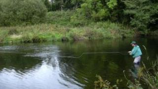 Pysgota