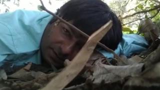 વીડિયોની તસવીર