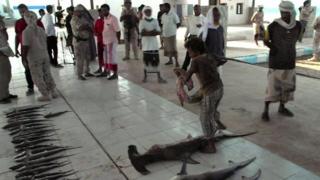 ငတ်မွတ်မှုနဲ့ ရင်ဆိုင်ရနိုင်တဲ့ ယီမင်