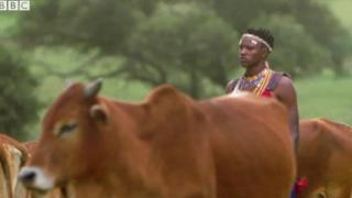 ምህዞ ርቻርድ