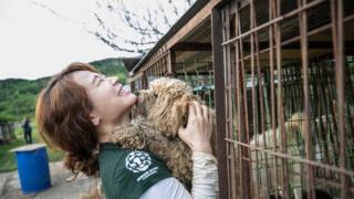 HSI representative holds Korean dog