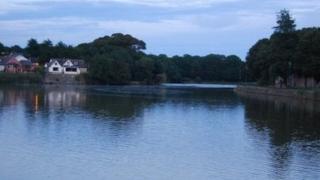 llyn y felin