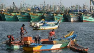 Golfo de Mannar