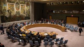 Le Conseil de Sécurité des Nations Unies