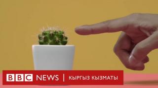 Вакцина