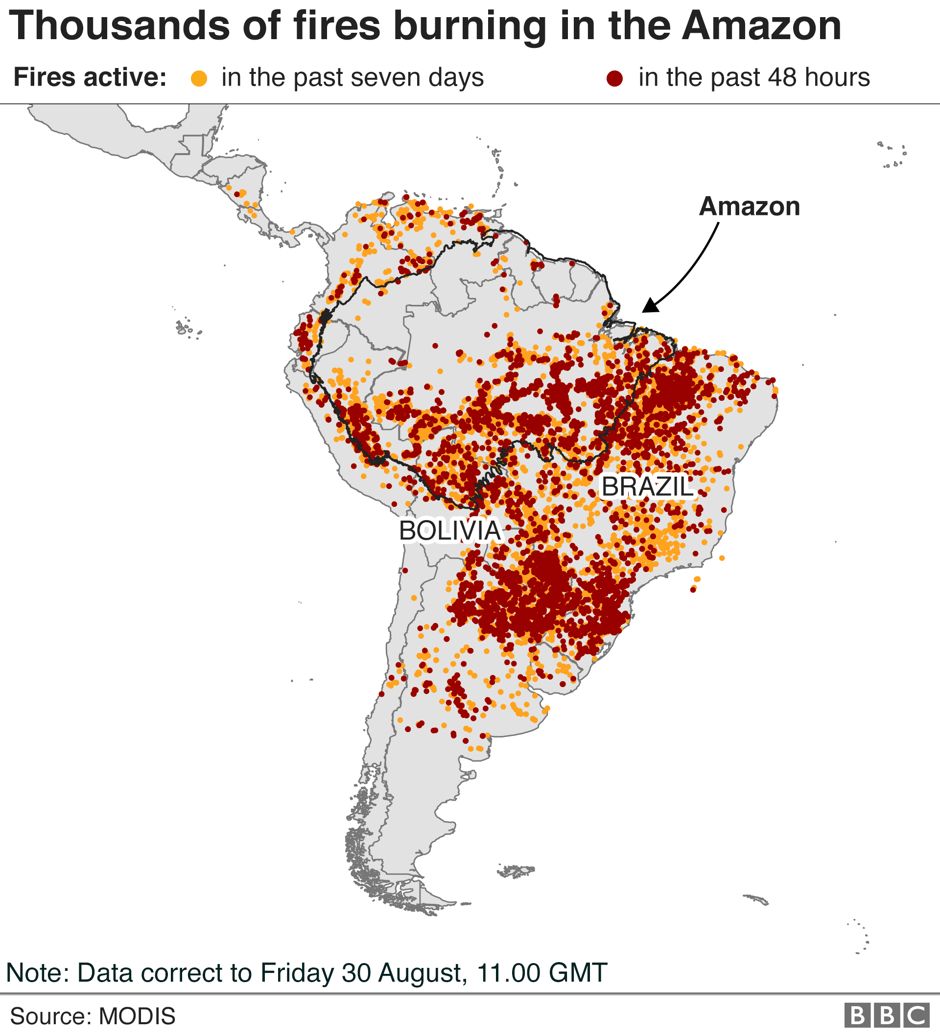 The Amazon in Brazil is on fire how bad is it? BBC News