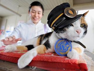 Tama si kucing kepala stasiun