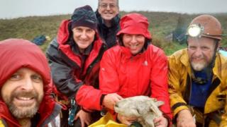Rescuers Mark Morgan (left to right) Gary Evans, Dave Dunbar, Vince Alkins and Pete Hobson with the stricken sheep