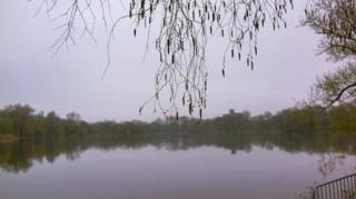 پارک پراسپکت