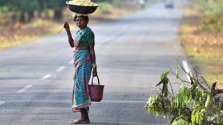 గిరిజనుల పెన్ పండుమ్