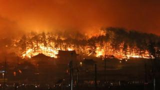 A forest fire raging in Donghae on 4 April 2019