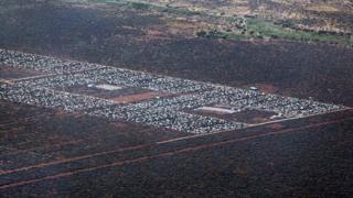 Inkambi y'impunzi ya Dadaab muri Kenya, ivugwa ko ariyo ya mbere nini kw'isi