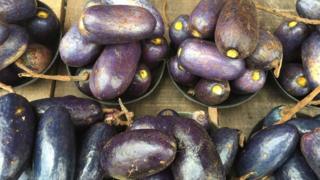Ube ndị Igbo