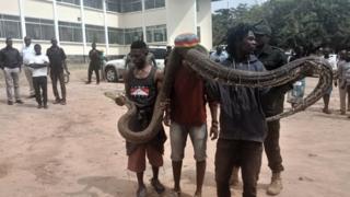 Kundi kubwa la watu wanaofika kumshudia baadhi wakiwa wamebeba zawadi kama vile Mbuzi na Mtama ili kumuomba baraka liliifanya serikali kumhamisha chatu
