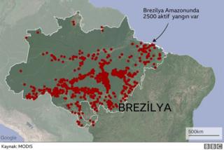 Amazon infografik