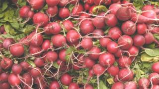 Radishes (Image: BBC)