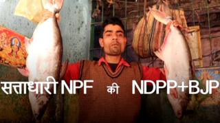 Nagaland elections