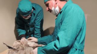 Ruddy Perea abrindo um dos pacotes congelados com os restos de sacrifícios humanos no Misti