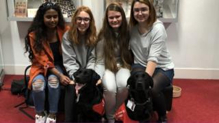 students and dogs
