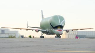 Un Airbus Beluga XL en una pista de aterrizaje.