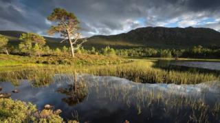 Winning image by Dr Kenny Muir