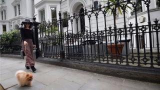 Una mujer pasea su perro por una calle de Kensington.