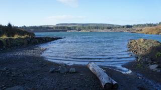 Coyle Water, North Kyle Forest