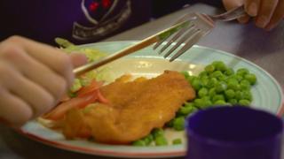 Council may feed children 365 days a year 3