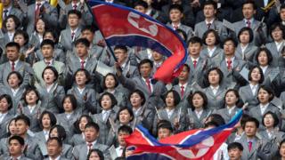 North Korean fans