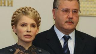 Юлія Тимошенко та Анатолій Гриценко - давні соратники у політиці