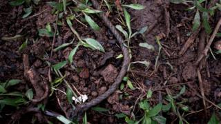 Una cuerda en el lugar donde mataron a Vilma Trujillo.