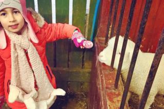 Gorgie City Farm