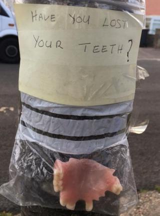 Teeth in a bag on a tree