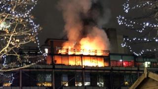 Ivy fire
