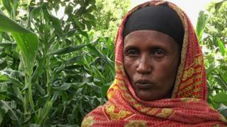 Haadha qoricha farra raammoo kalaqan