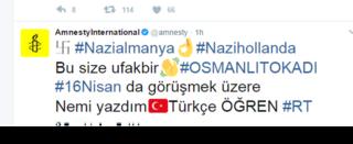 Post in Turkish on Amnesty International's Twitter account