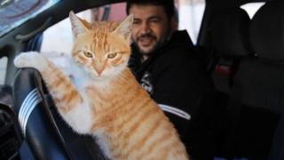 Alaa dan Ernesto