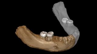 Xiahe mandible