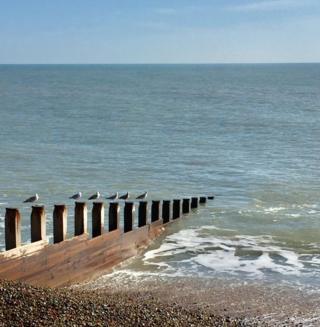 Birds standing on posts by the sea