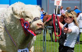 Royal Highland Show