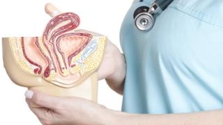Pelvis model held by nurse
