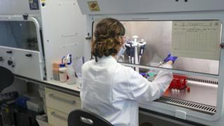 Coronavirus: Call to infect volunteers in Covid-19 vaccine hunt