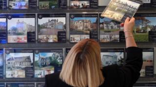 Estate agent window