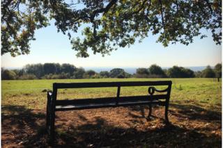Shotover Country Park, Oxford