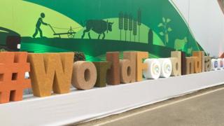 world food india