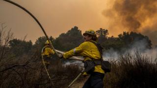 Bomberos combatiendo el fuego en el bosque