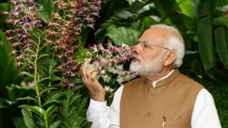 पीएम मोदी