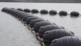 Seaweed farm in Pembroke Dock